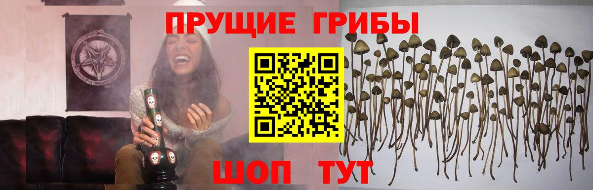 Знаменск  Галлюциногенные грибы ЛСД  Вход с VPN 